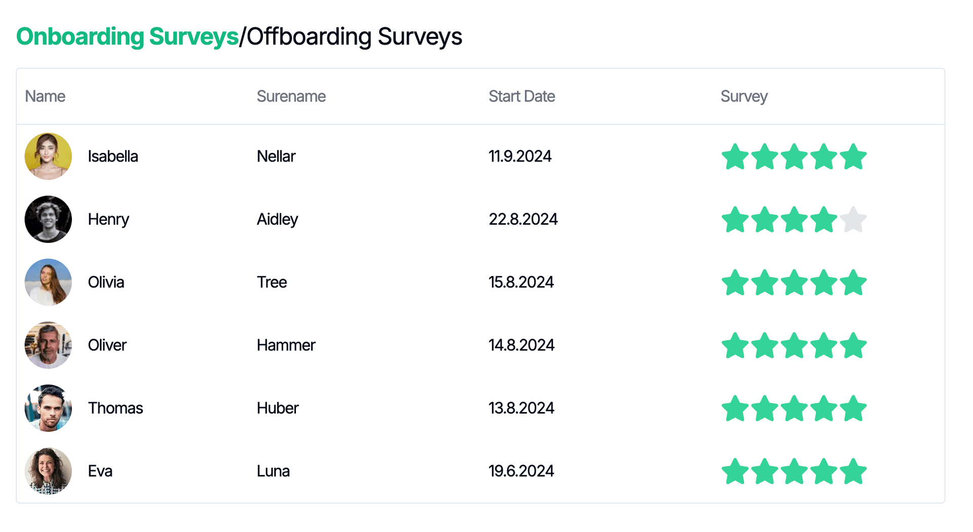 Survey and feedback collection interface